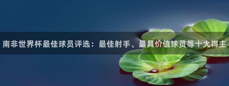 世界杯在线直播：南非世界杯最佳球员评选：最佳射手、最具价值球员等十大得主