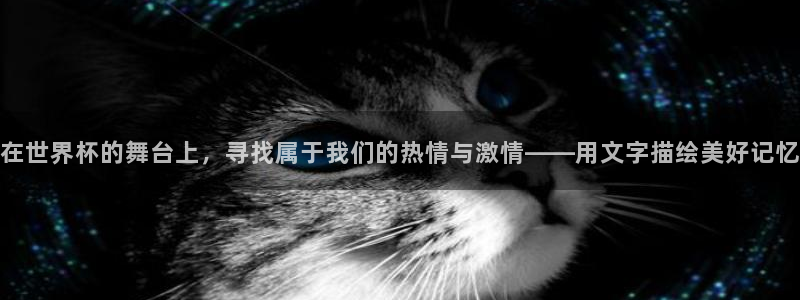世界杯:在世界杯的舞台上,寻找属于我们的热情与激情——用文字描绘美好记忆