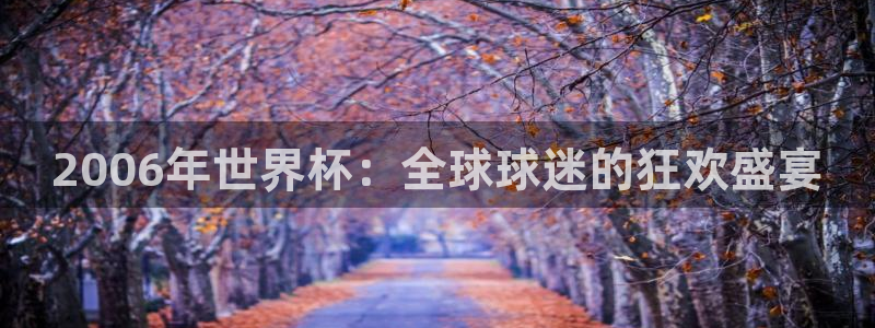 2026世界杯赛制:2006年世界杯:全球球迷的狂欢盛宴