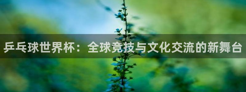 2026足球世界杯赛程：乒乓球世界杯：全球竞技与文化交流的新舞台