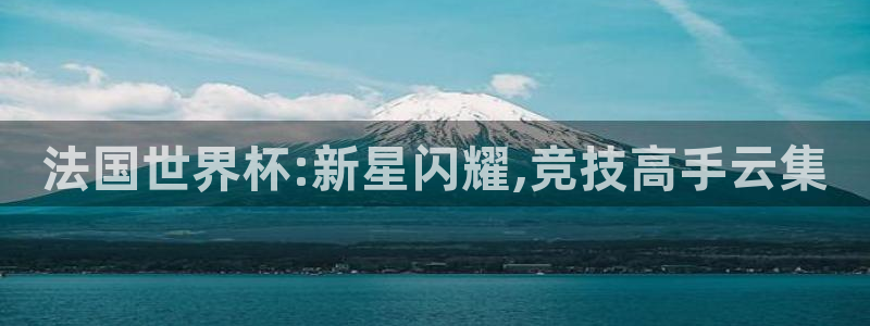 看世界杯:法国世界杯:新星闪耀,竞技高手云集