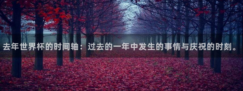 世界杯系列赛：去年世界杯的时间轴：过去的一年中发生的事情与庆祝的时刻。