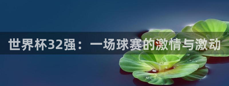 世界杯预选赛亚洲区赛程：世界杯32强：一场球赛的激情与激动
