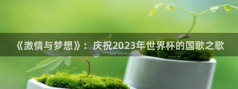 2026世界杯欧洲预选赛赛程表：《激情与梦想》：庆祝2023年世界杯的国歌之歌