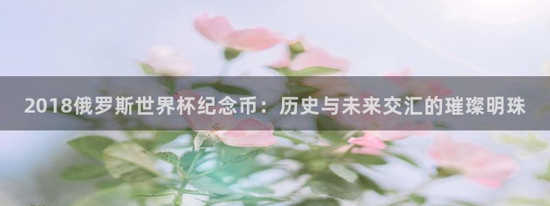 世界杯48支球队赛制：2018俄罗斯世界杯纪念币：历史与未来交汇的璀璨明珠