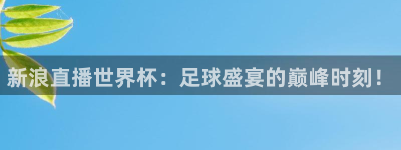 2026 世界杯：新浪直播世界杯：足球盛宴的巅峰时刻！