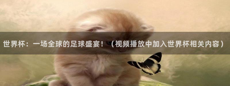 女足世界杯直播在线观看免费高清：世界杯：一场全球的足球盛宴！（视频播放中加入世界杯相关内容）