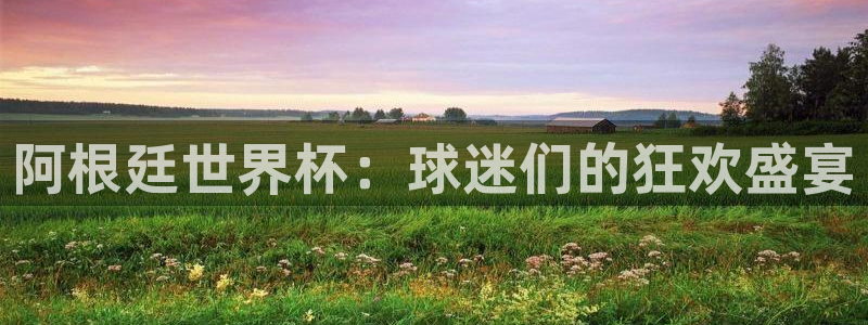美洲杯直播：阿根廷世界杯：球迷们的狂欢盛宴