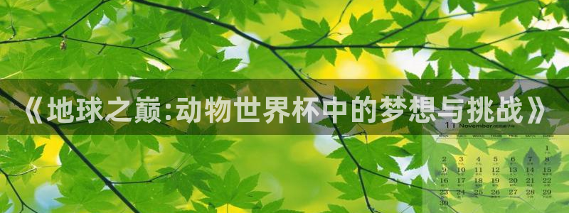 世预赛赛程表：《地球之巅:动物世界杯中的梦想与挑战》
