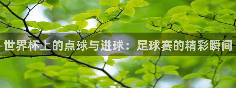 世界杯直播平台：世界杯上的点球与进球：足球赛的精彩瞬间
